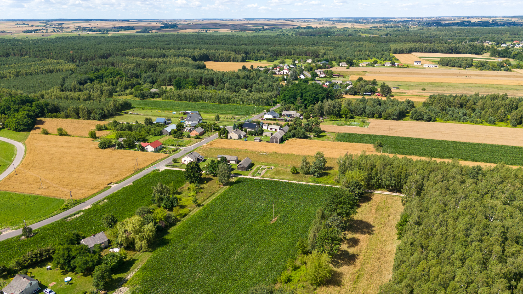 Liszno Kolonia i okolice z lotu ptaka