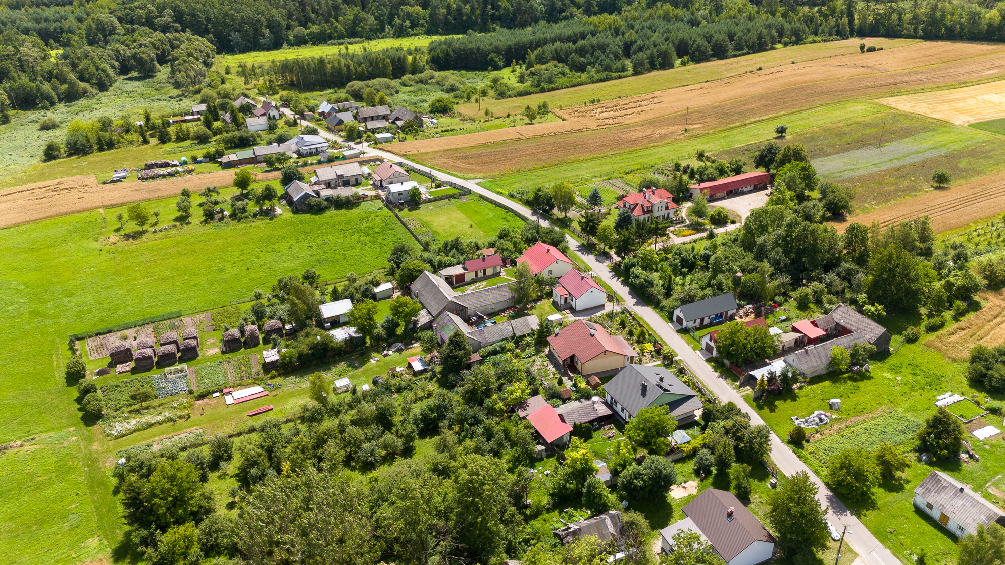 Widok na Zalesie Krasieńskie z lotu ptaka