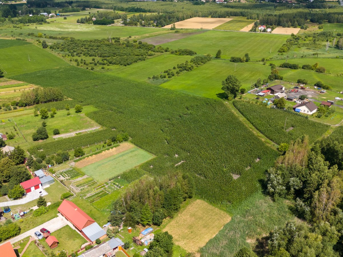 Zdjęcia przedstawiające Liszno