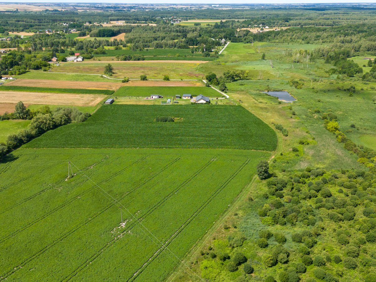 Zdjęcia przedstawiające Liszno