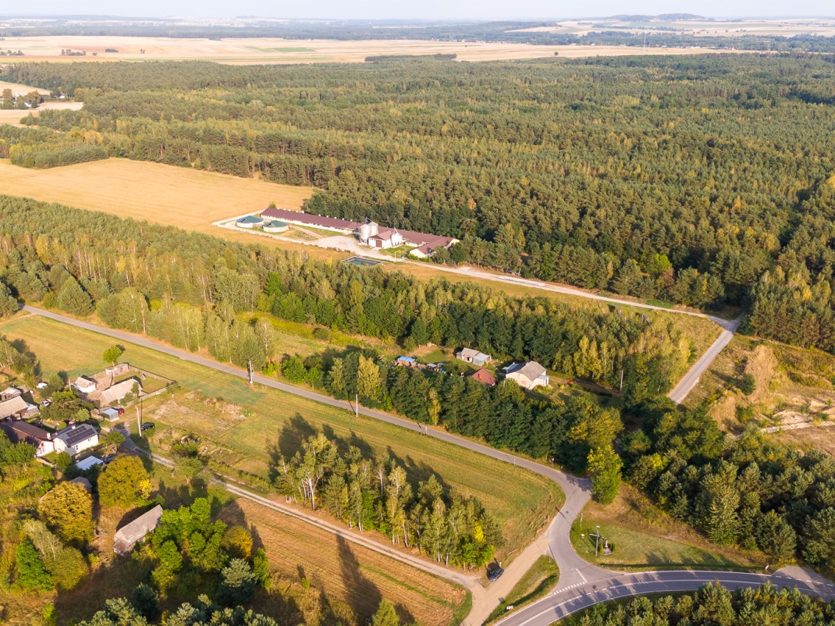 Zdjęcie poglądowe - kliknij aby zobaczyć galerię zdjęć Toruń