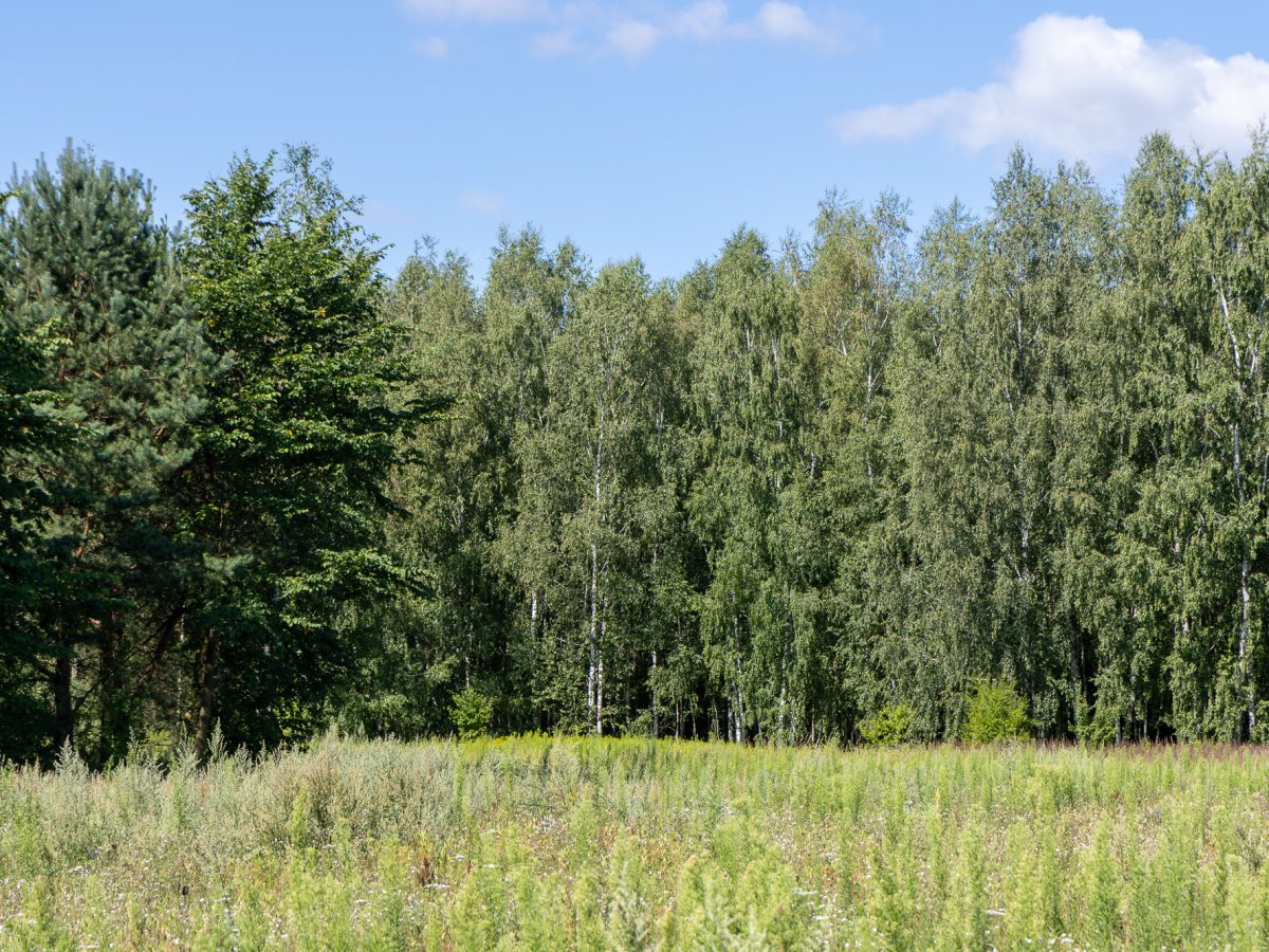 Zdjęcia przedstawiające Wólka Kańska Kolonia