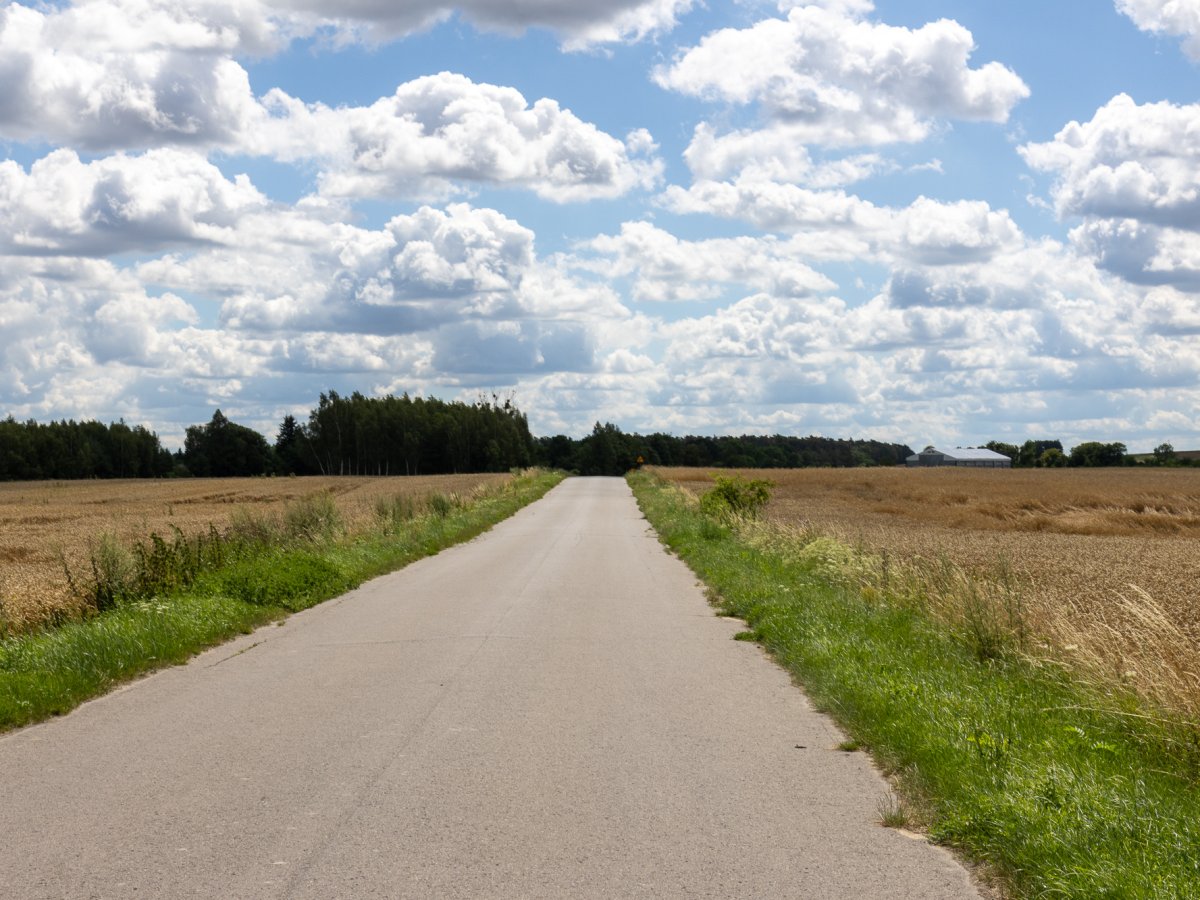 Zdjęcia z Zalesia Kańskiego