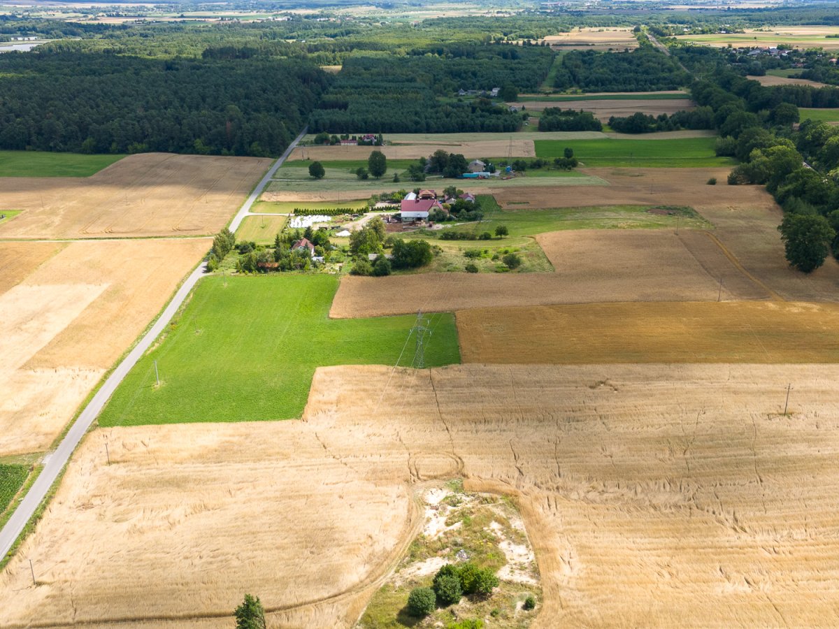 Zdjęcia z Zalesia Kańskiego