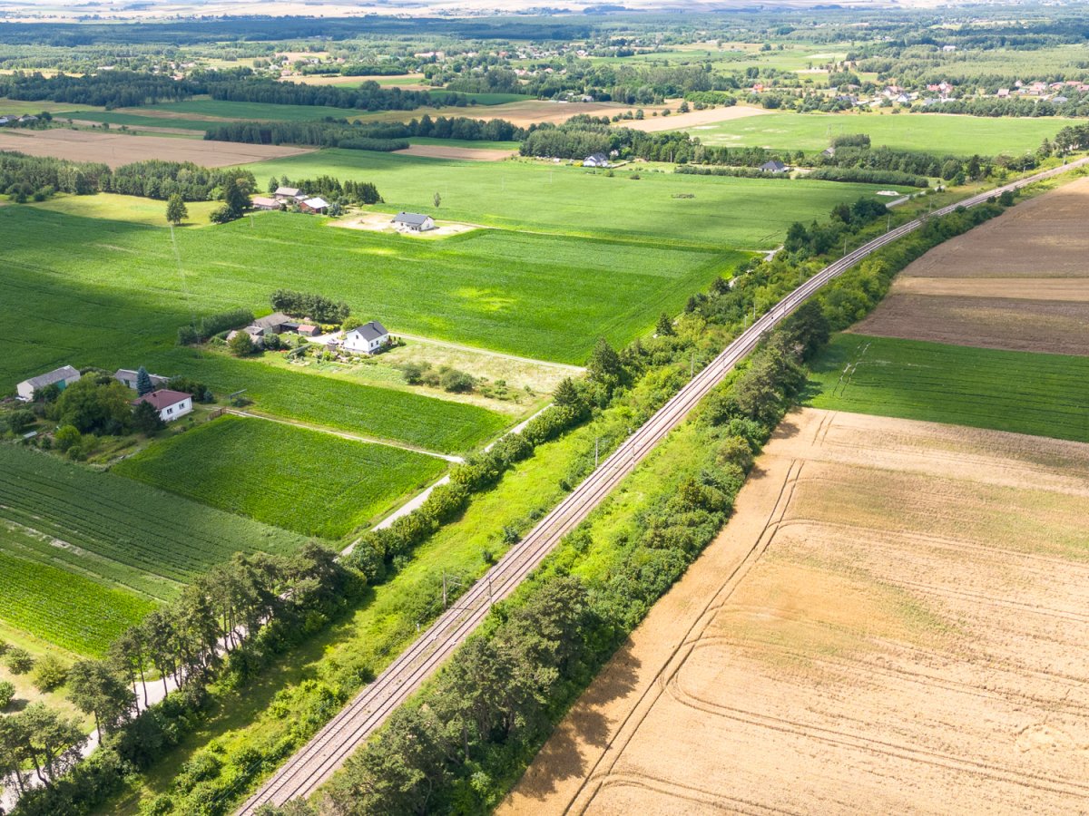 Zdjęcia z Zalesia Kańskiego