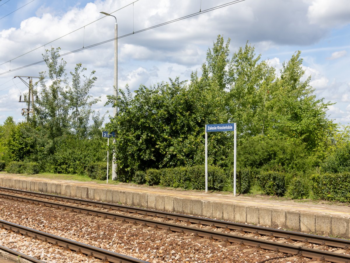 Zdjęcia z Zalesia Krasieńskiego