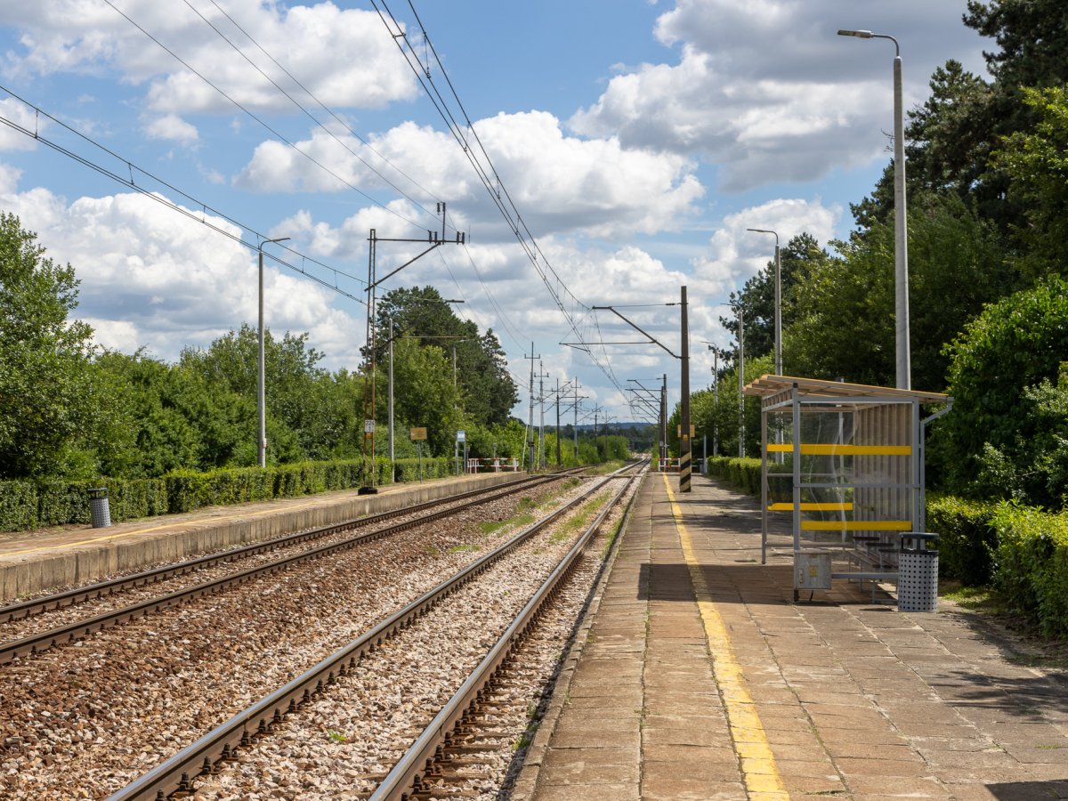 Zdjęcia z Zalesia Krasieńskiego
