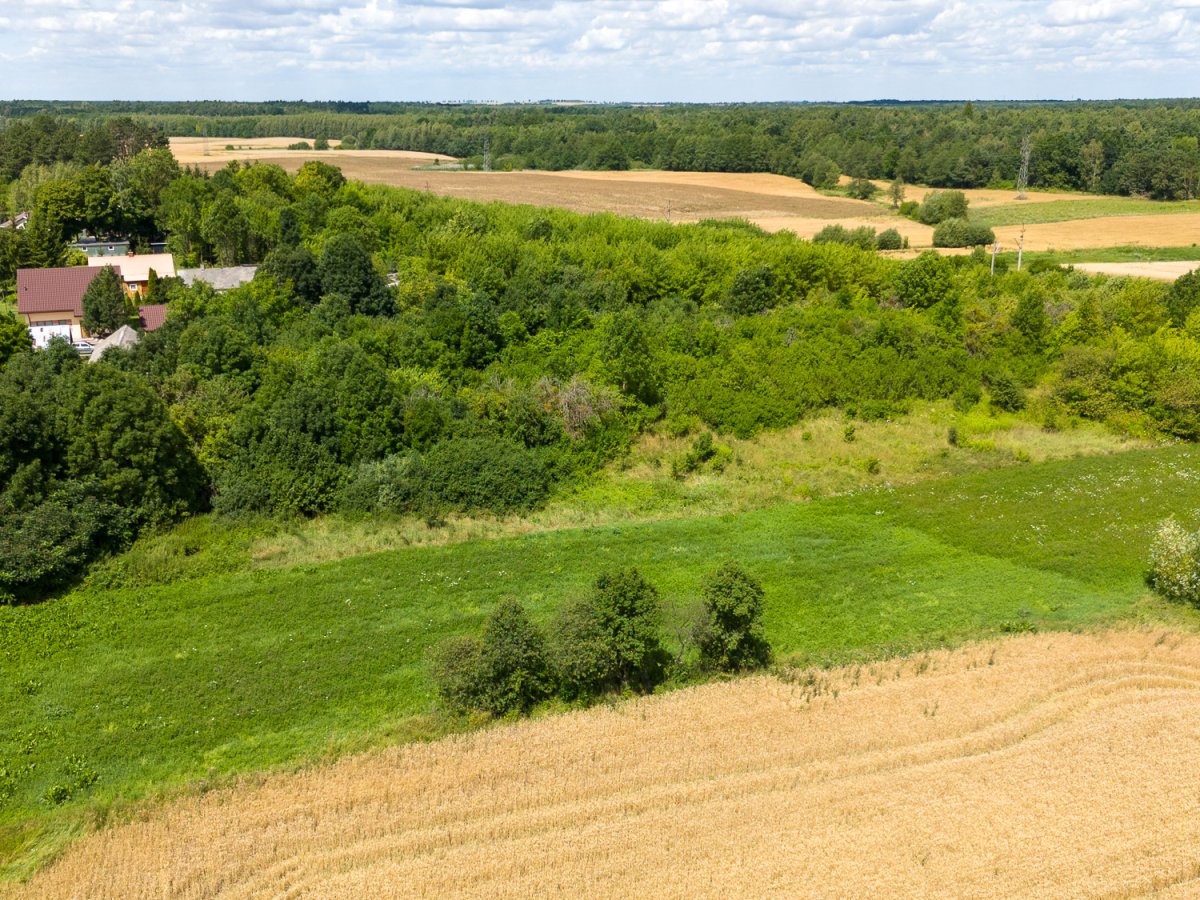 Zdjęcia z Zalesia Krasieńskiego
