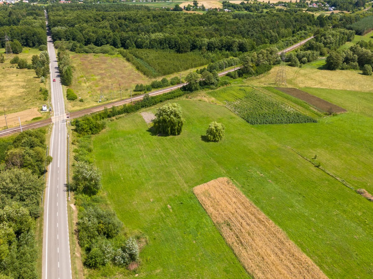 Zdjęcia z Zalesia Krasieńskiego