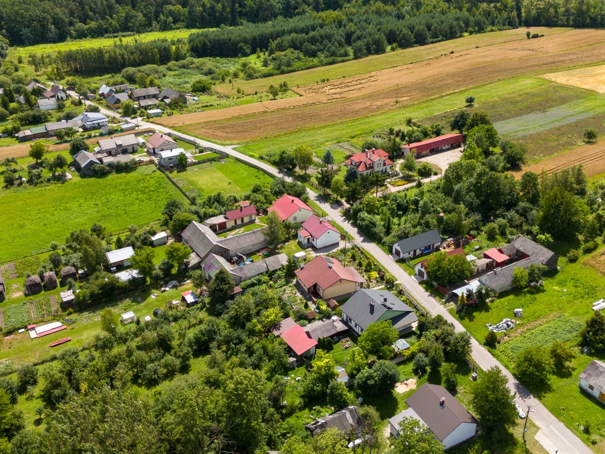 Zdjęcia z Zalesia Krasieńskiego