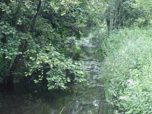 Pawłowski Obszar Chronionego Krajobrazu