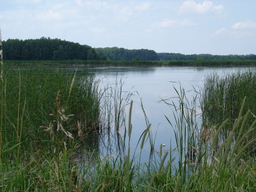 Pawłowski Obszar Chronionego Krajobrazu